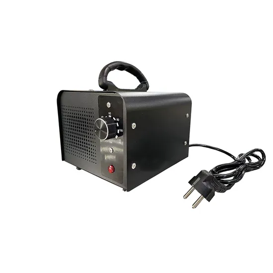 Ozone Generator Purifier That Can Be Used for Both Air and Water 220V60g 220V1000mg Ozonizer